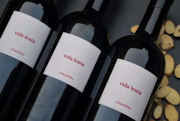 Red Wine Vida Lenta Tinto y Oro Organic Vegan Oak Spain